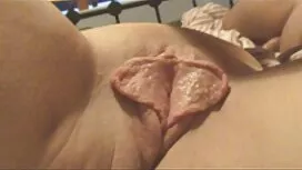 (لارا تينيلي) قصص سك ...