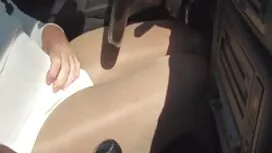 شانيل بريستون أغوت ا ...