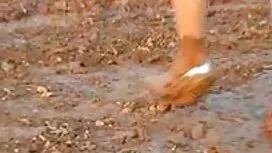 الثنائي المطلق قصص س ...