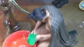 الجنس الثلاثي في الص ...