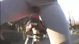 أبولونيا لابيدرا قصص ...