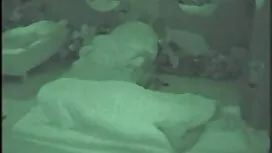 Video tutorial: How  ...