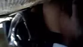 فينيسا ليون المكسيك  ...