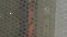 في قصص سكس محارم عرب ...